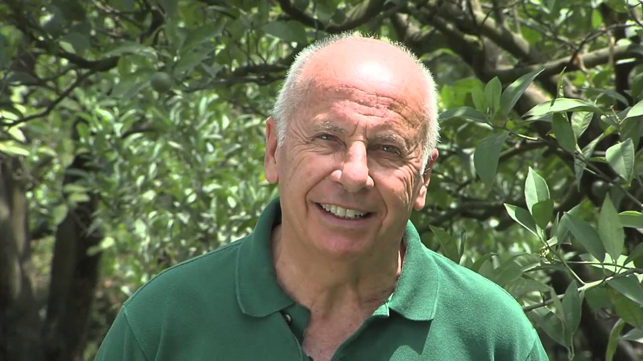 Intervista a Alessandro Pasca di Magliano - il mio lavoro