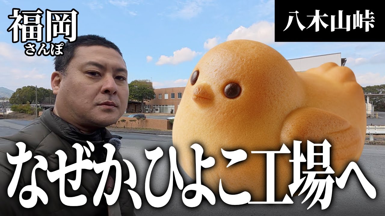 【峠ツーリング】篠栗〜飯塚を繋ぐ八木山峠を走るモトブログ