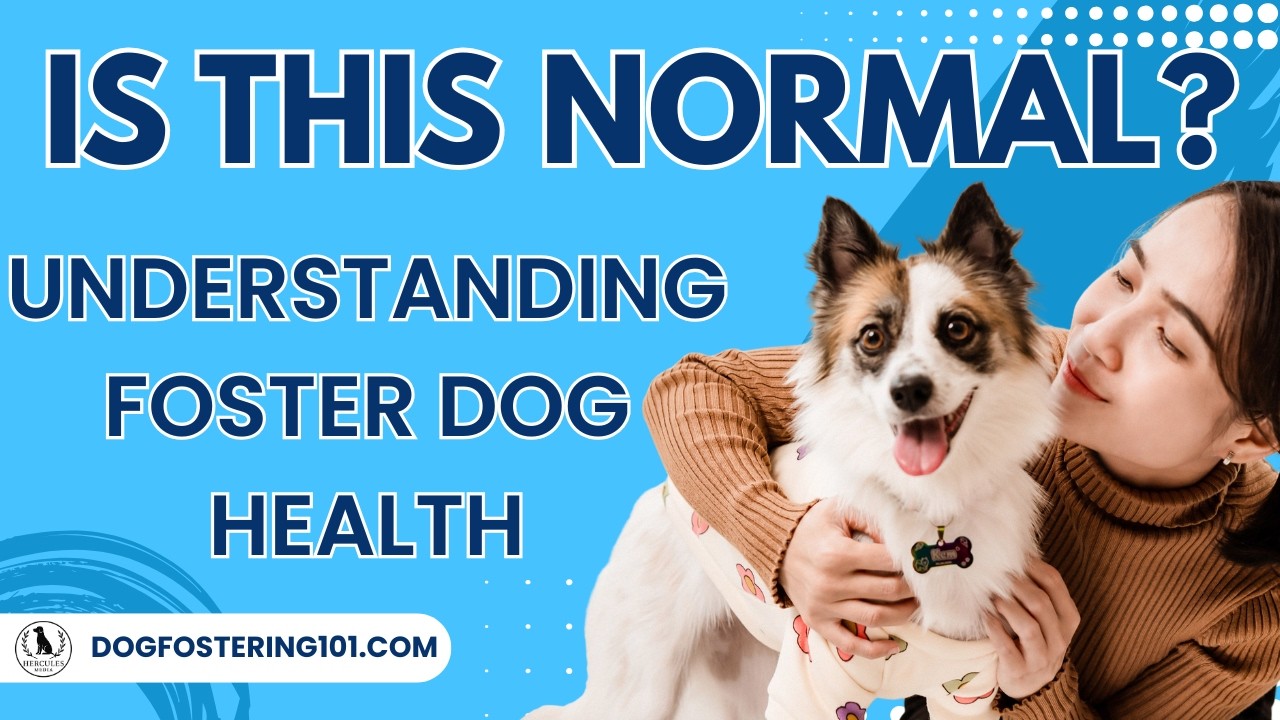 Is this Normal? Understanding Foster Dog Health