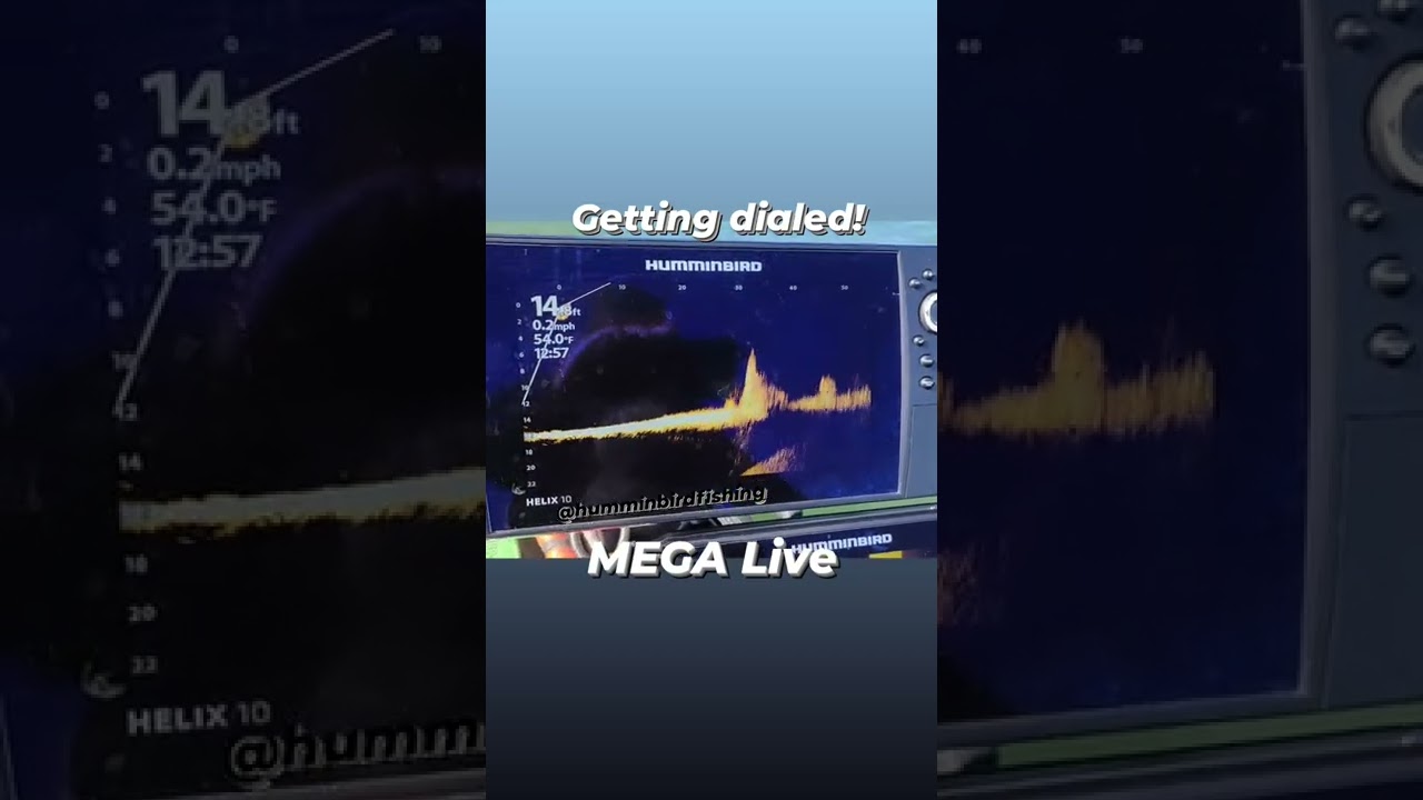 Humminbird MEGA Live настроен идеально