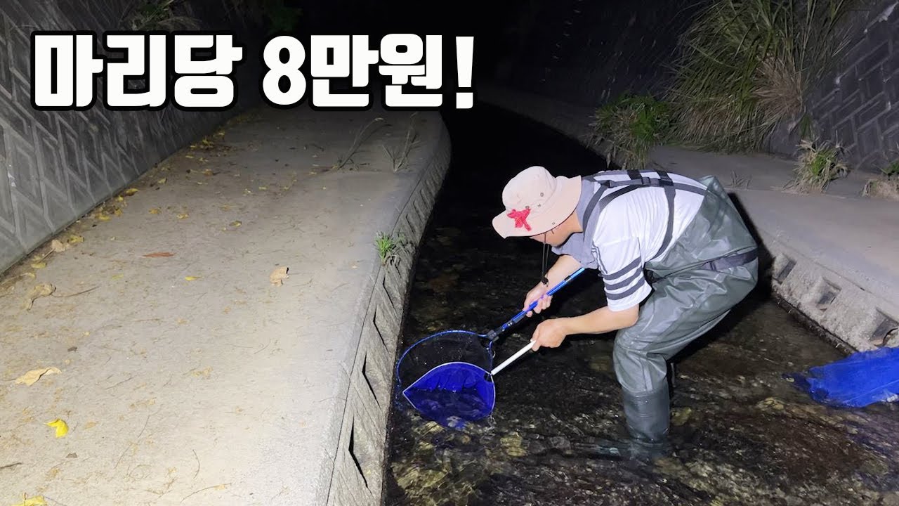 여긴 완전 노다지네요! 환상의 맛을 가진 고급해산물이 바글바글! 진짜 원없이 먹었습니다 ㅎㅎ
