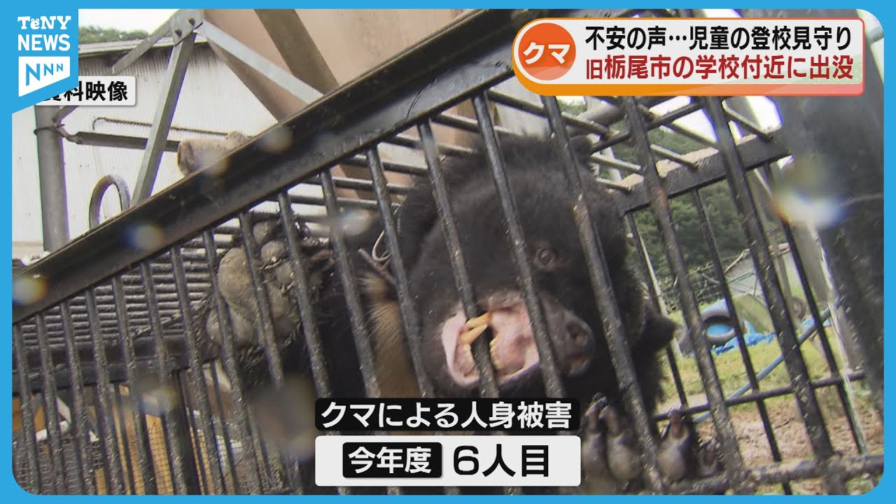 【クマ出没】長岡市の栃尾地域で40代男性がクマに襲われる　近くには小・中学校も《新潟》
