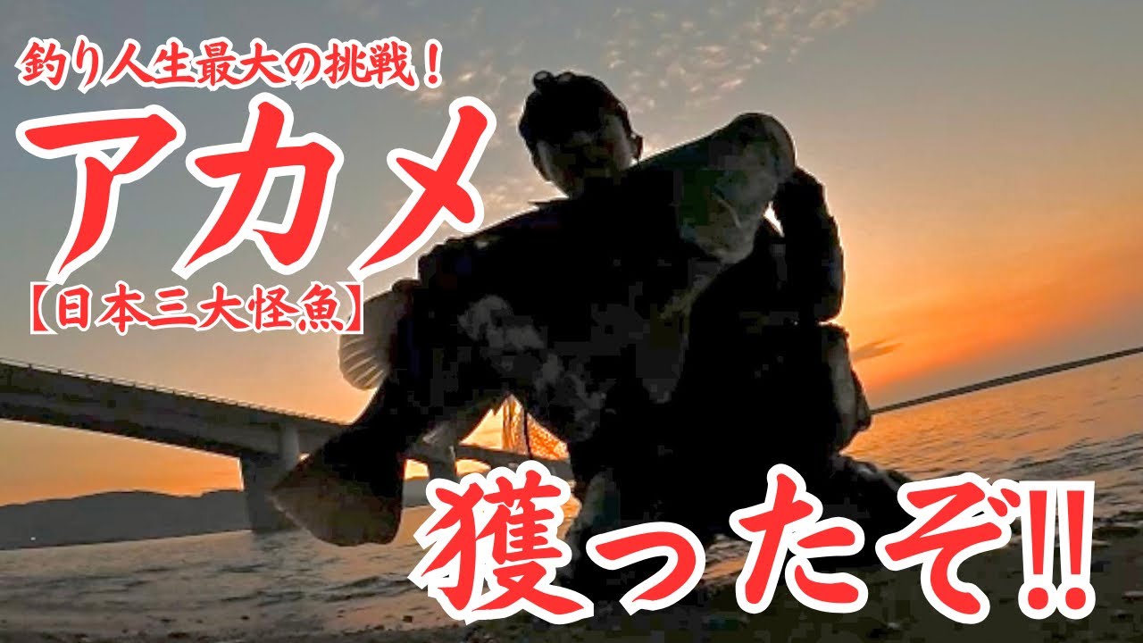 アカメ獲ったぞ！！【怪魚】高知アカメ遠征