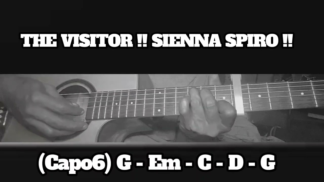 THE VISITOR !! SIENNA SPIRO !! HOW TO PLAY CHORDS TUTORIAL GUITAR
