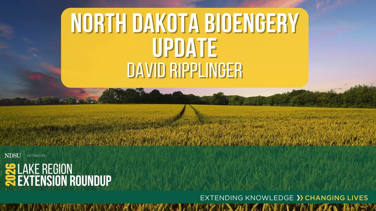 North Dakota with David Ripplinger