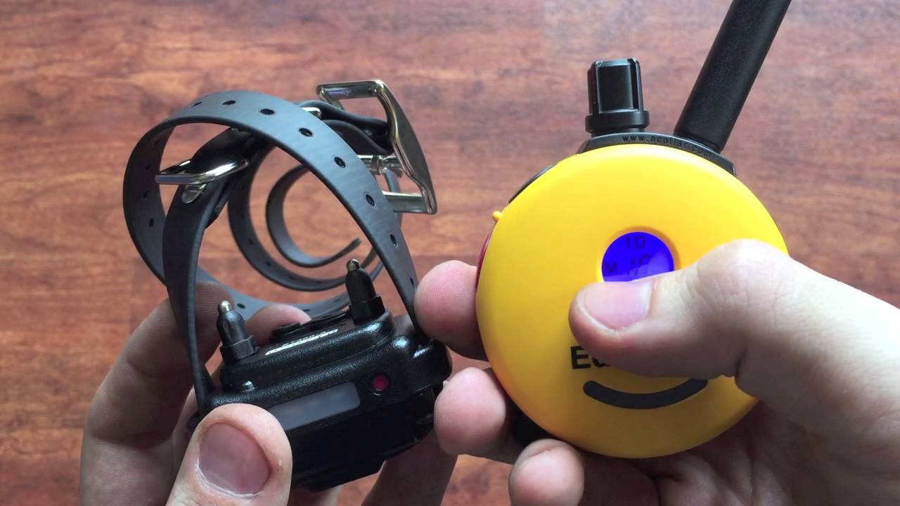 How to change the boost level on a Mini Educator e-collar | Follow The Leader Dog Training