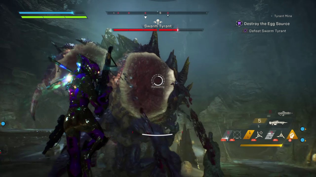 Spider raid