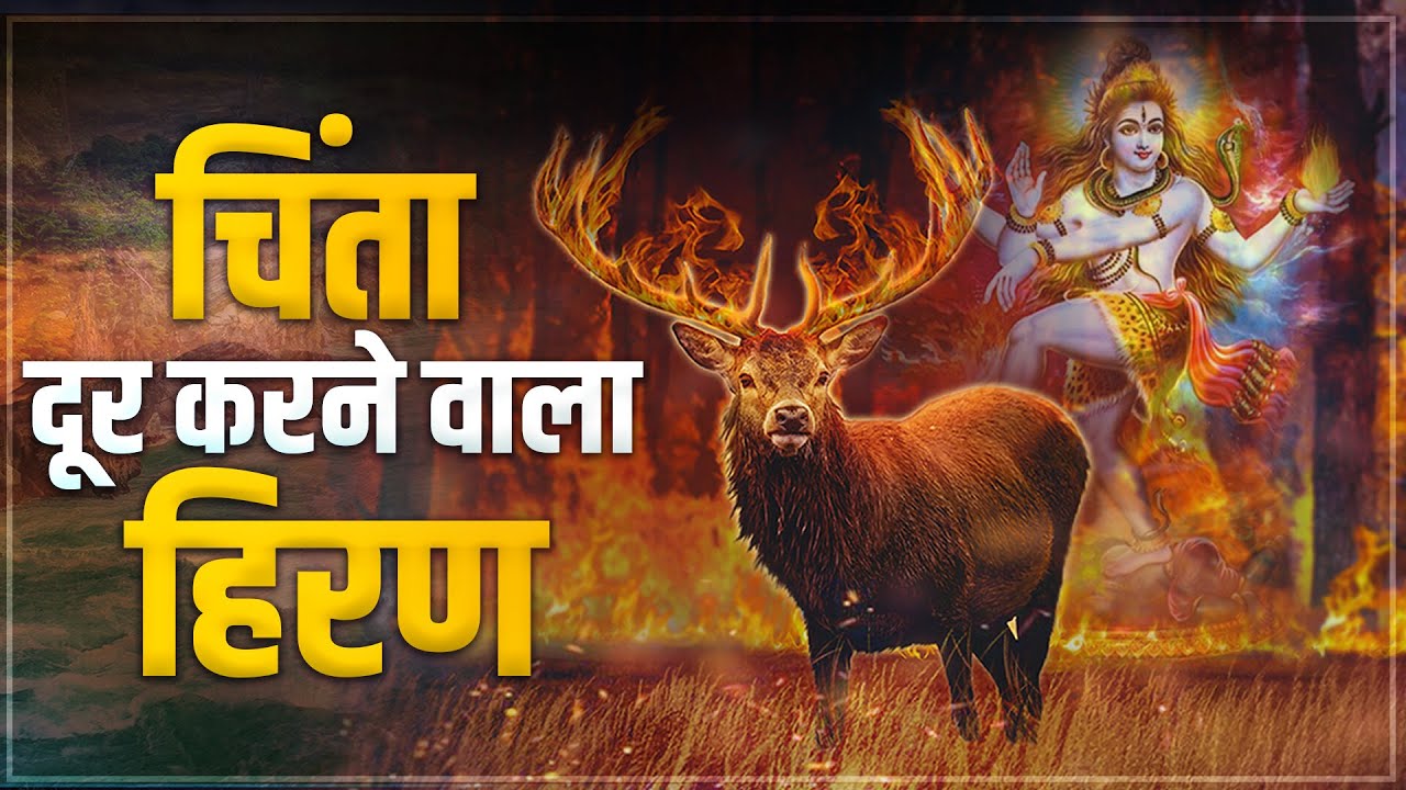हिरण को क्यों नहीं मारना चाहिए? Hindu Dharm में हिरण का क्या महत्व है ? Hindu Mythology