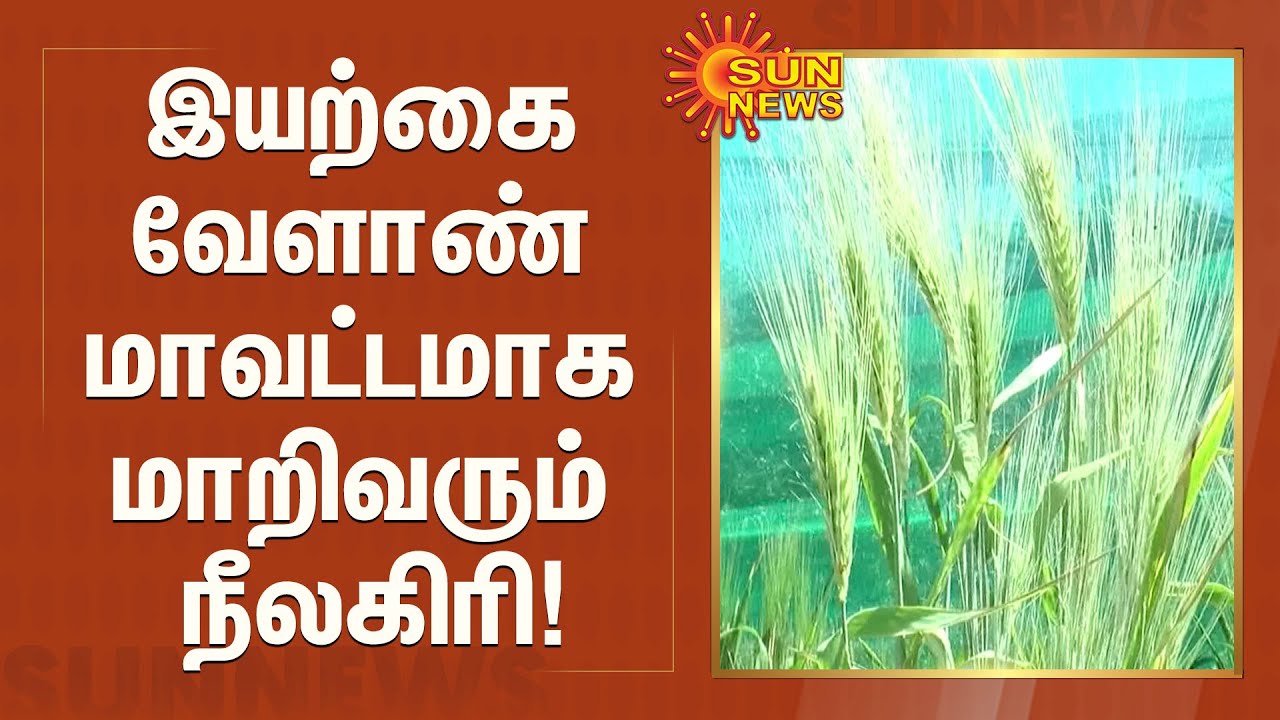 இயற்கை வேளாண் மாவட்டமாக மாறிவரும் நீலகிரி! | Nilgiris | Natural Farming
