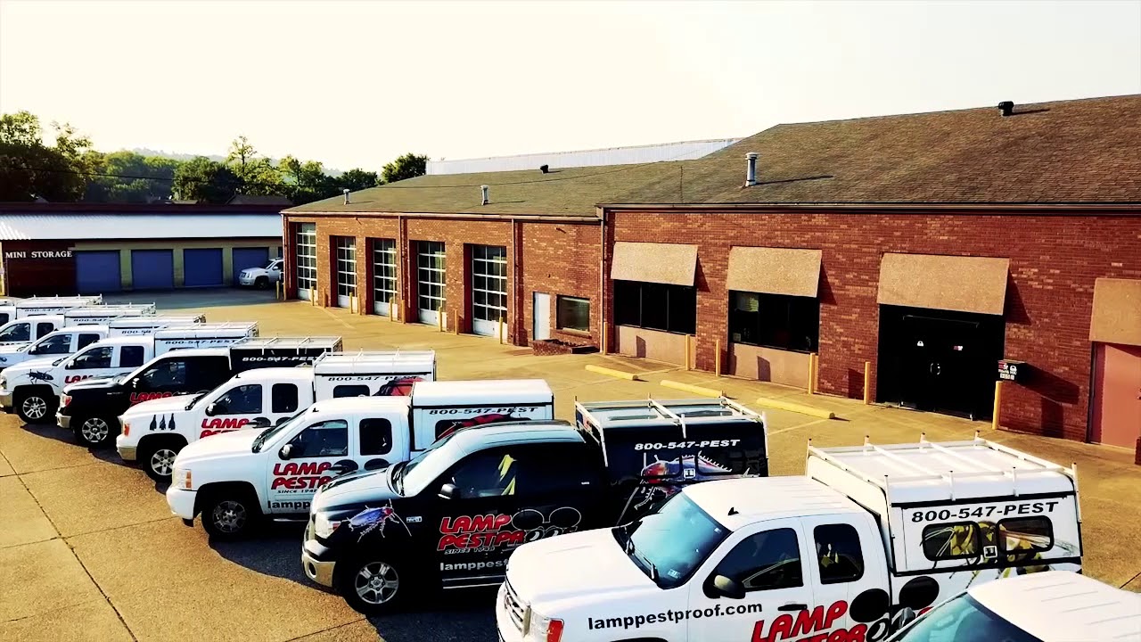 Lamp Pest Proof - Largest Locally Owned Pest Control