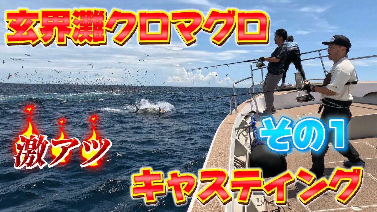玄界灘クロマグロ　激アツ　キャスティング(その1)