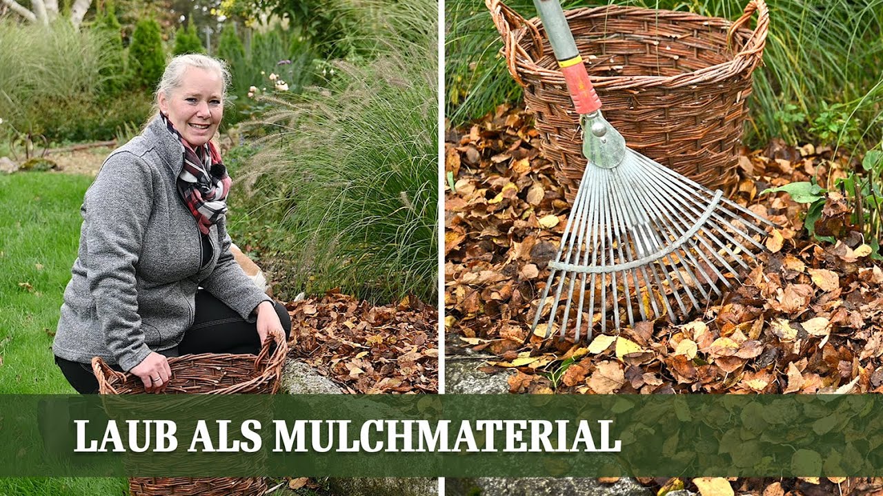 Mulchen statt entsorgen - so nutzt man Herbstlaub als Mulch Material