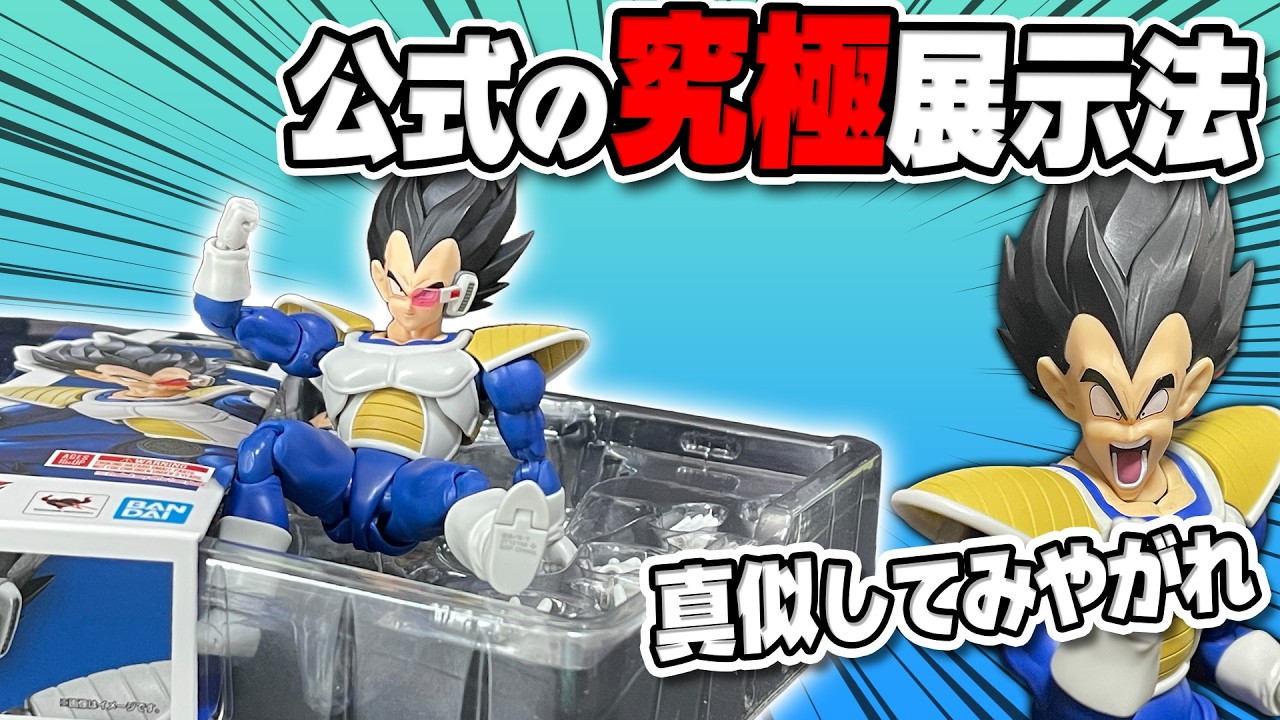【ディスプレイ革命】S.H.Figuartsが箱から飛び出す!? 魂ネイション公式ディスプレイを完全再現。