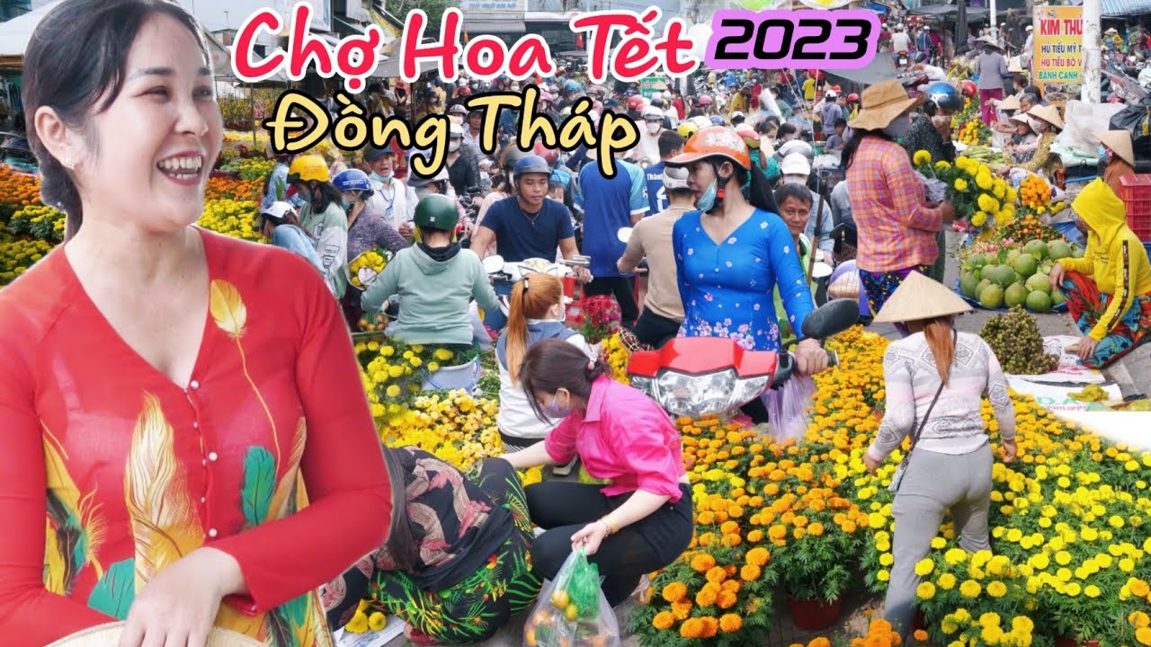 Chợ Tết Lấp Vò Đồng Tháp 2023 bên biển người mua hoa bên ế ẩm kêu than