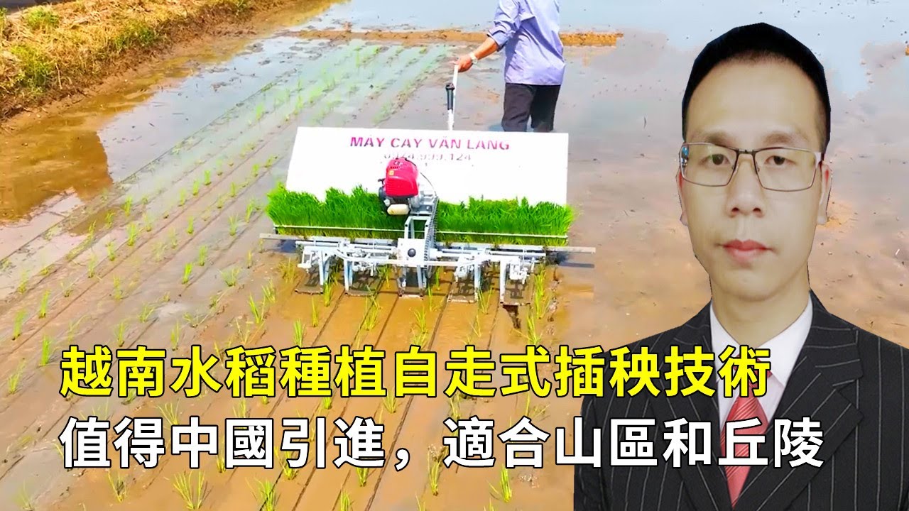 越南水稻種植自走式插秧技術，值得中國引進，適合山區和丘陵！||Vietnamese rice transplanter are worth importing from China