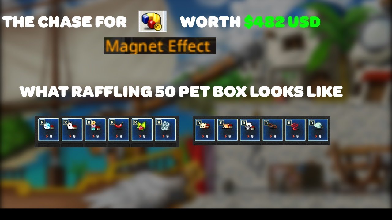 WHAT OPENING 50 PET RAFFLES LOOKS LIKE IN MAPLESTORY N | CHASING THE MAGNET PET DREAM