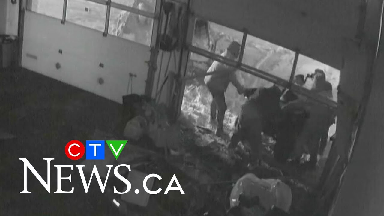 Brazen theft at Brantford Suzuki