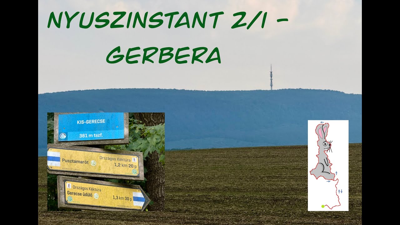 Nyuszinstant 2/1 - Gerbera 68 km | Nyuszinstant Gerecse – Egyedül a nyúl formájú túra nyomán
