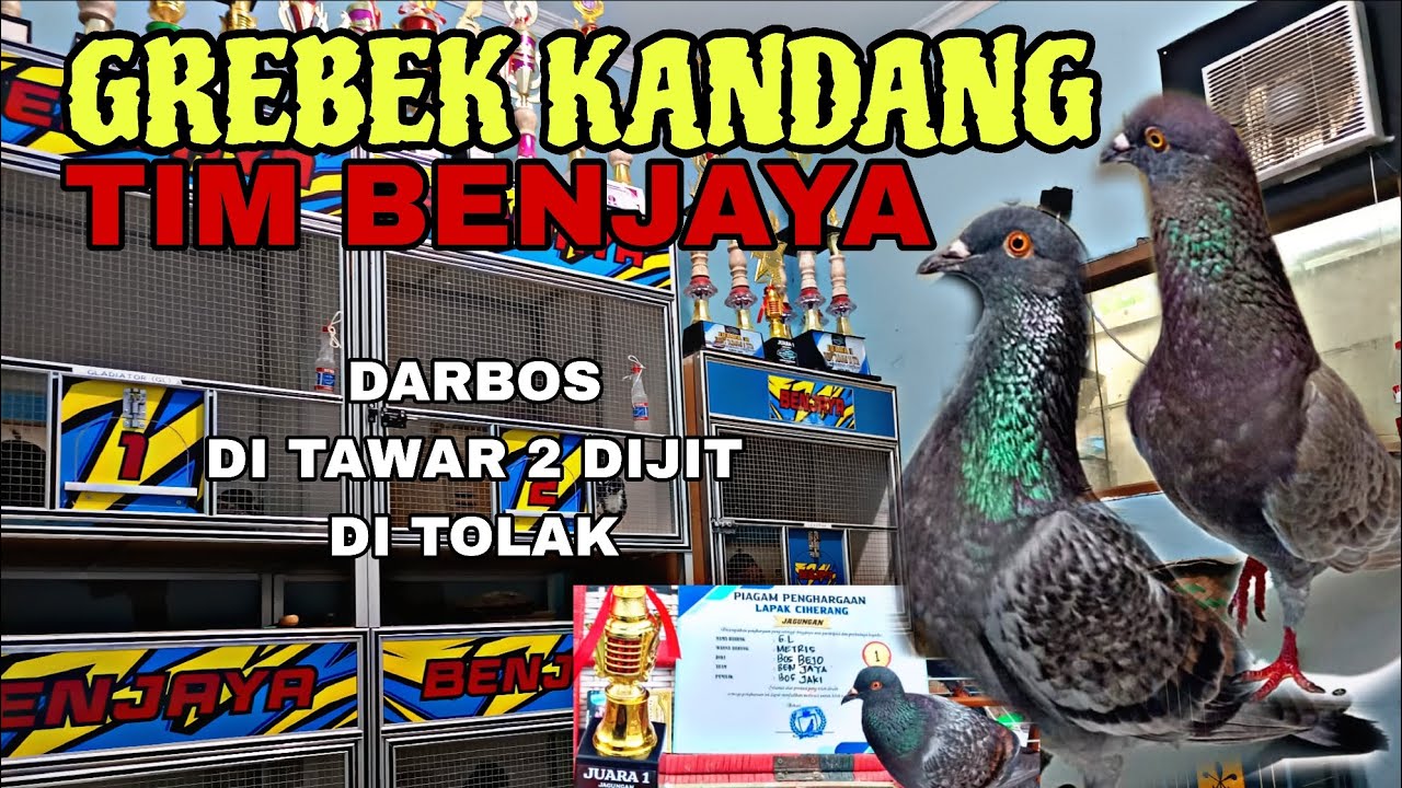 TIM BENJAYA PODIUM TERUS INI RAHASIA NYA 