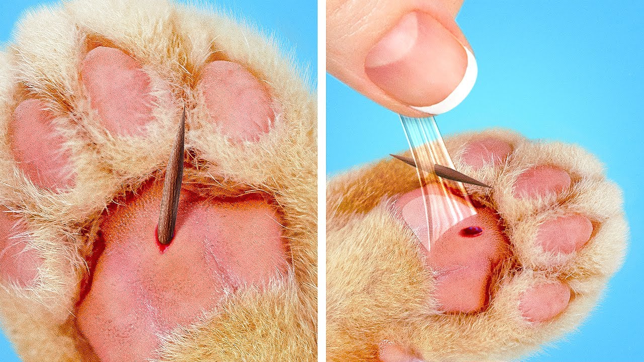 GENIUS HACKS & GADGETS FOR SMART PET OWNERS