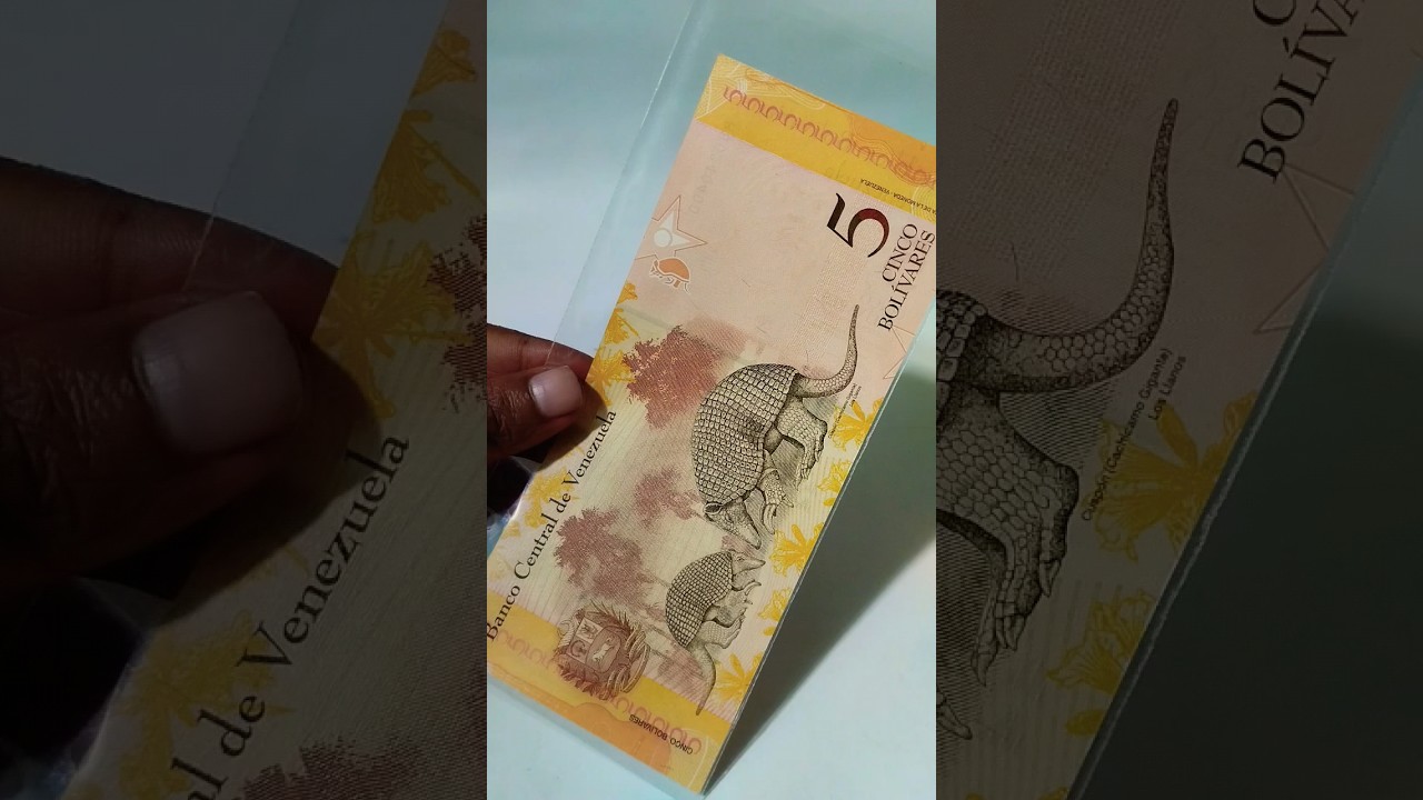 Colorful currency, Venezuela. fancy note