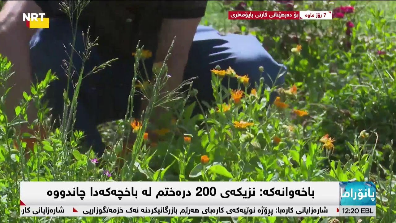 16-5-2025 nrtHD tv Live Stream2