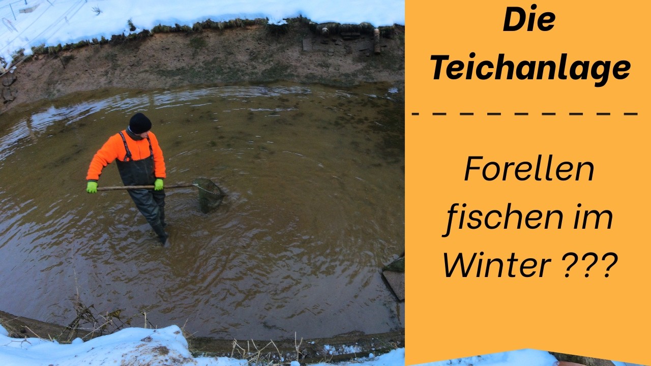 Forellenteich fischen im Winter ? Warum machen wir sowas...