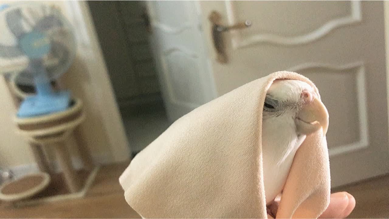眼镜布的多用