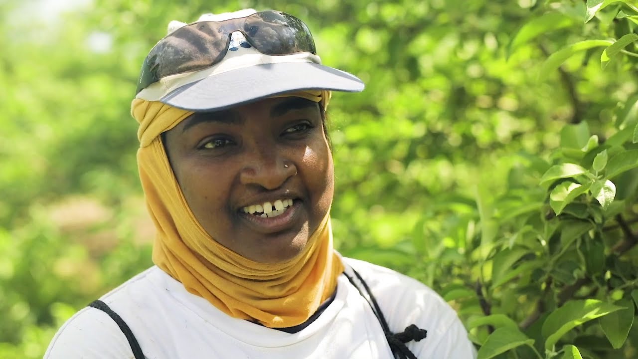 Down on the farm: women as valuable team members