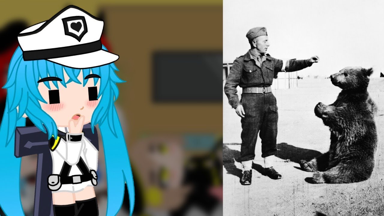 Nikke The Goddess Of Victory react to This Bear was an actual SOLDIER by More Parz