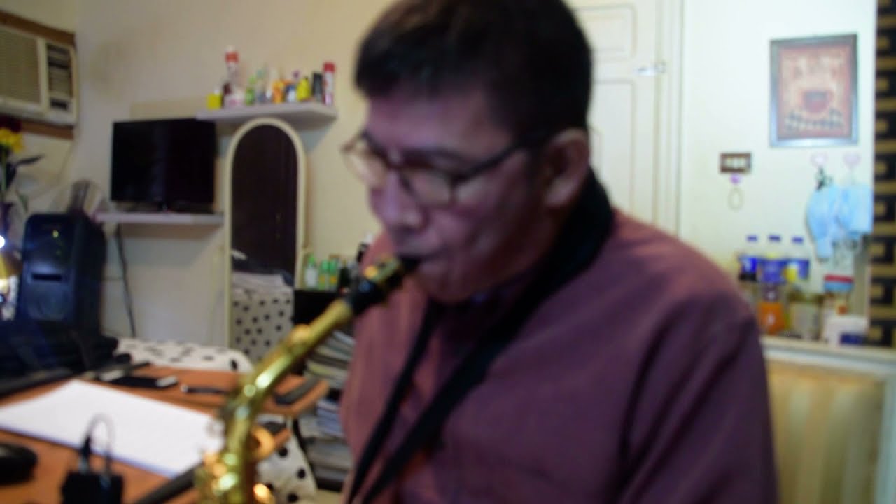 I WILL FOLLOW YOU - Ricky Nelson (alto sax cover)