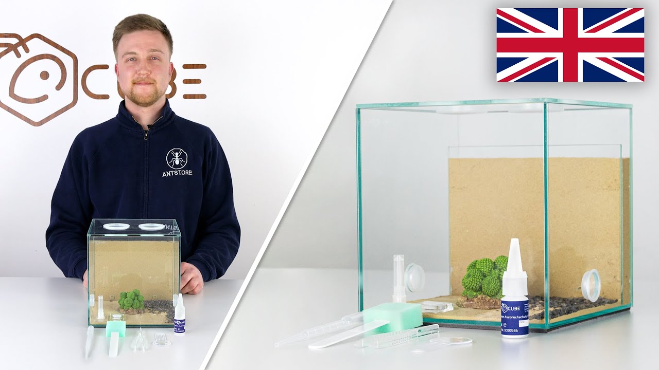 ANTCUBE Starter Kit Combi for ants