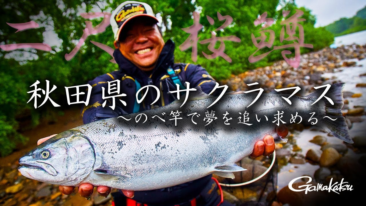 追いかけ続け幾年月 秋田で手にする二尺の銀鱗【G WORLD #49】【渓流釣り】【本流】【サクラマス】