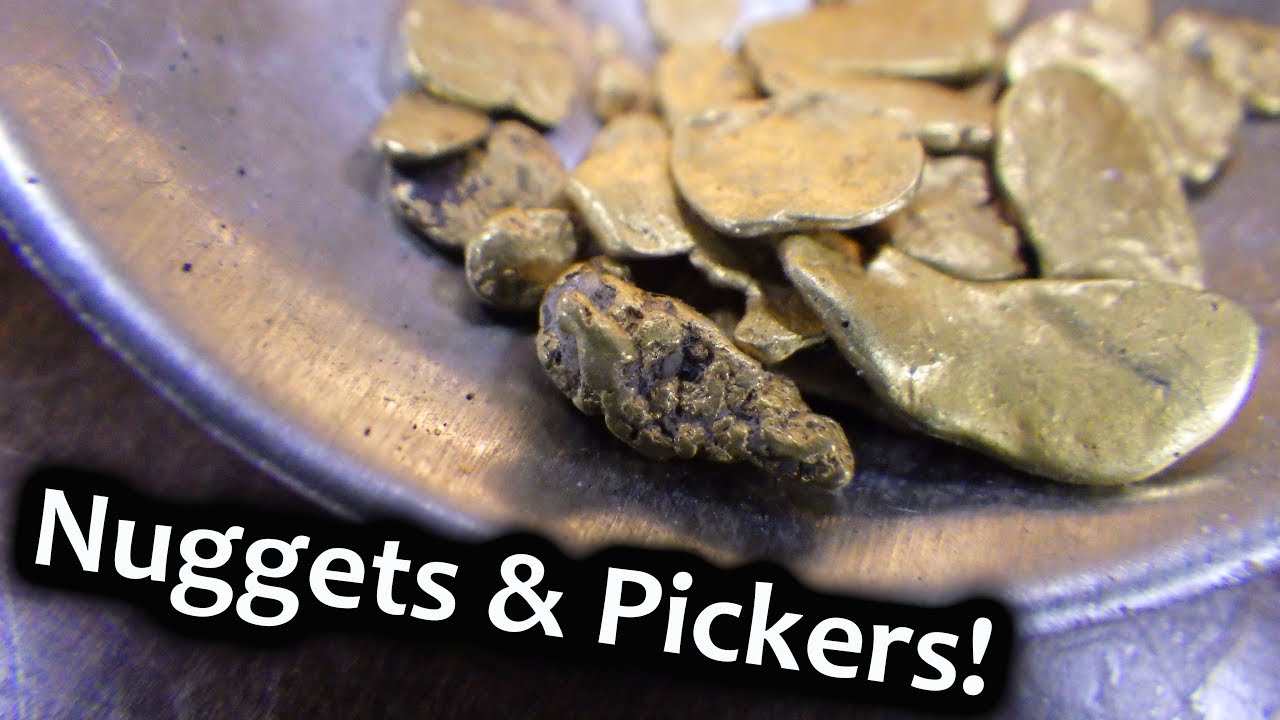 Enormous! Gold from the Fraser! (Nuggets and Pickers)
