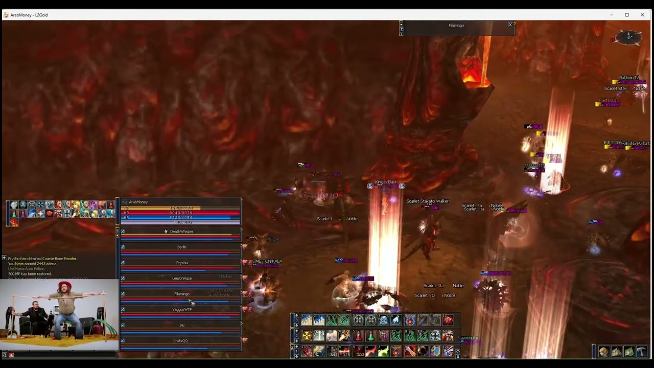 L2Gold.in - Mass PvP 2 v 2 parties - DF Gang