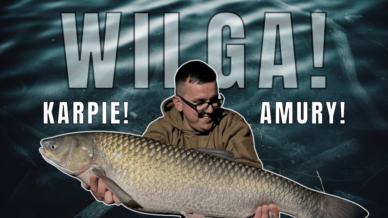 #3 KARPIE I AMURY Z 300 METRÓW! - ZASIADKA KARPIOWA NA ŁOWISKU WILGA WODNA KRAINA!