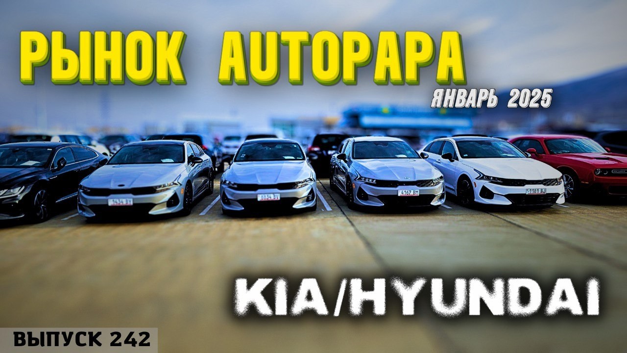 Обзор цен на Hyundai и KIA рынок AUTOPAPA. Мастер Вадя Грузия.#automobile #mastervadya #top
