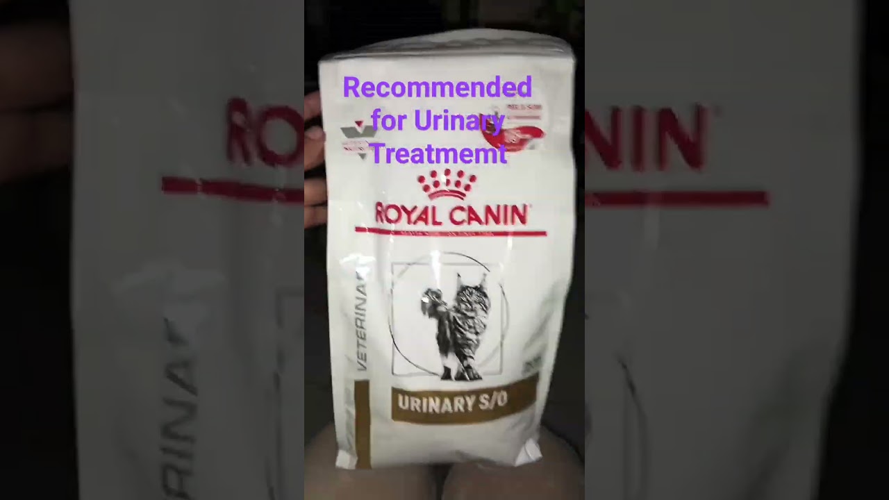 cat food for urinary problem 
