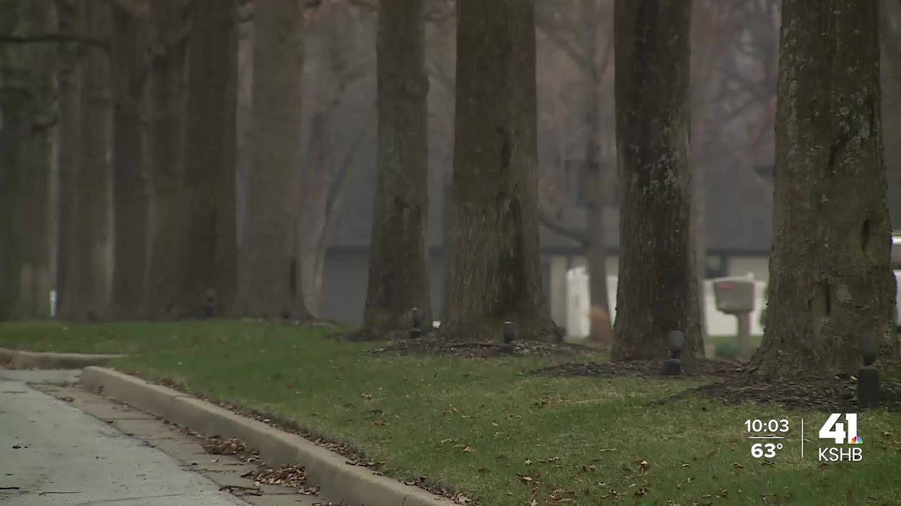 Wind gusts blow over trees across Kansas City area, one lands on passing car