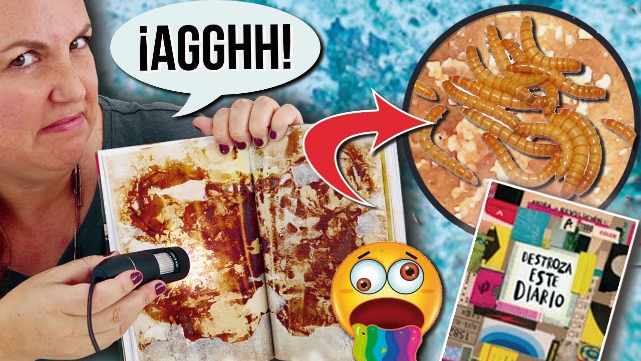 🔎 ¡¡DESTROZA este DIARIO Bajo el MICROSCOPIO!! * Comida PODRIDA, PELOS, HUELLAS... + SORTEO