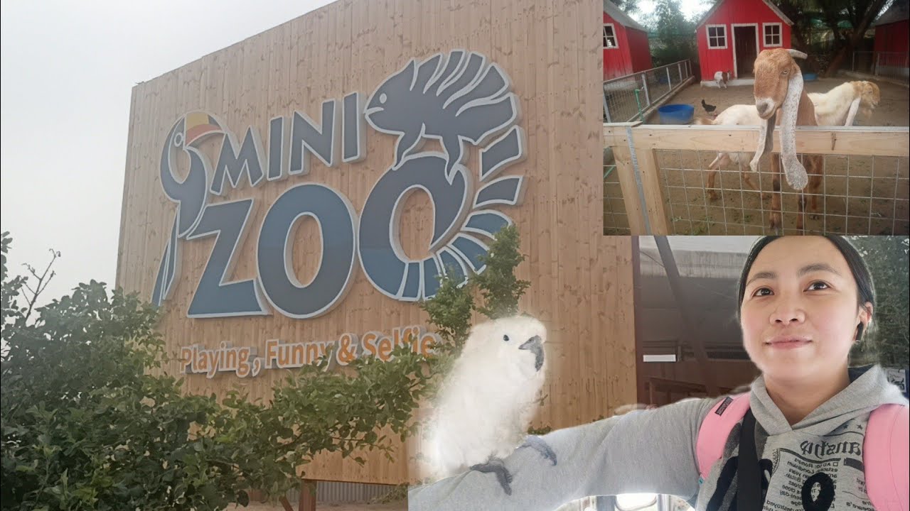 MINI ZOO IN KUWAIT ❤️ | MJAYCHANNEL