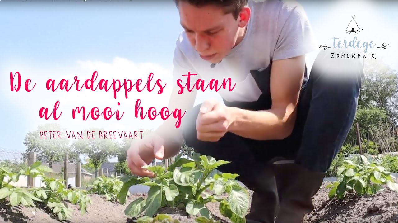 Gieten, harken en spitten in de moestuin | Terdege Zomerfair 2019 | workshop