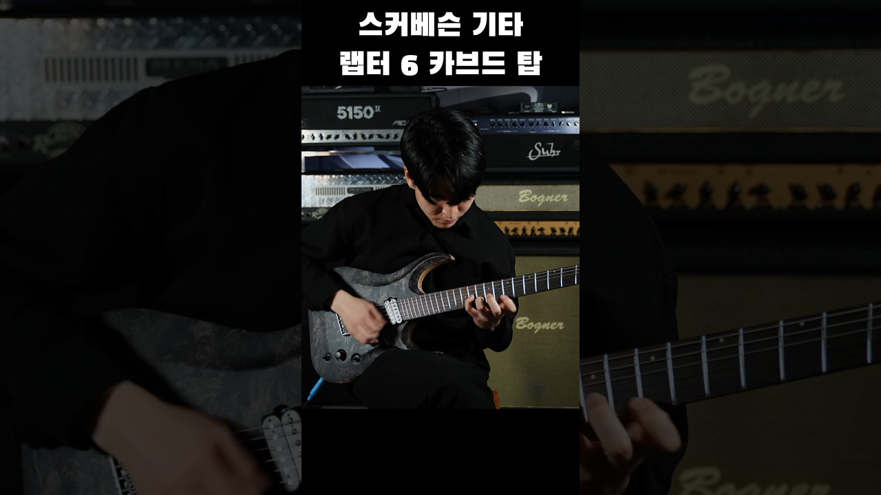 폴란드 기타 스커베슨 랩터 6 