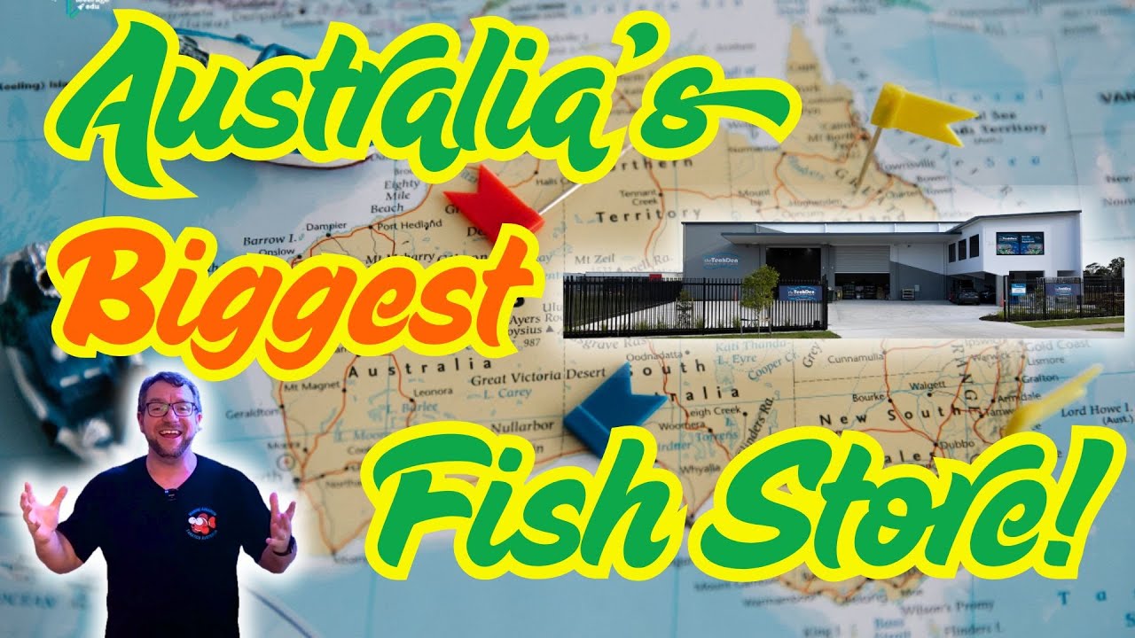 Australia's Biggest Fish Store!!! The Tech Den