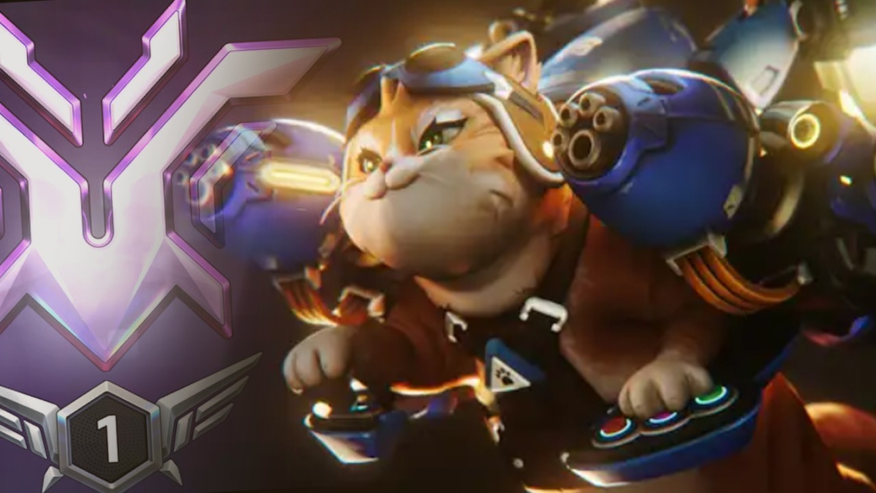 🐈 ALMOST GM BALL + SUPPORT RANKED 🐈