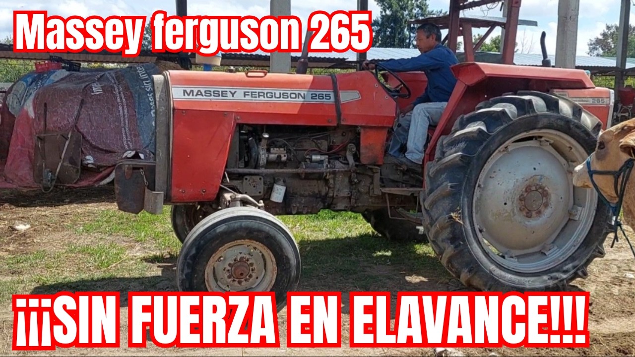 ¡¡¡CAMINA MUY LENTO!!! Massey Ferguson 265