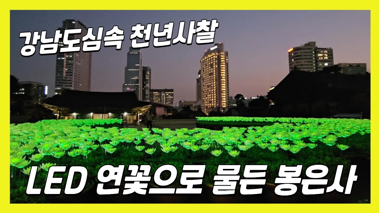 LED 연꽃으로 물든 강남 도심속 천년 사찰🏵️봉은사 | Bongeunsa Temple, a thousand-year-old temple in the heart of Gangnam