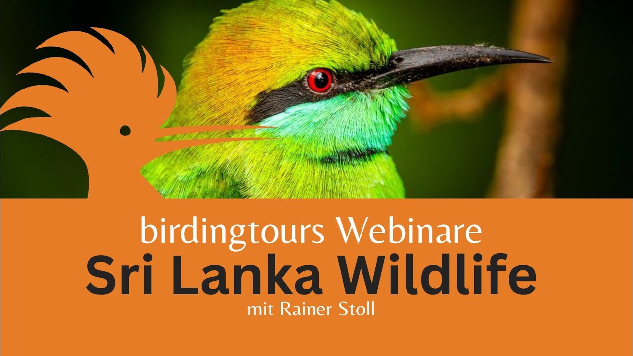 Webinar: Sri Lankas Vogelwelt | mit Rainer Stoll