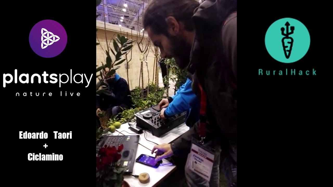 Plant Plays with Dj - Maker Faire Rome - Plants Play