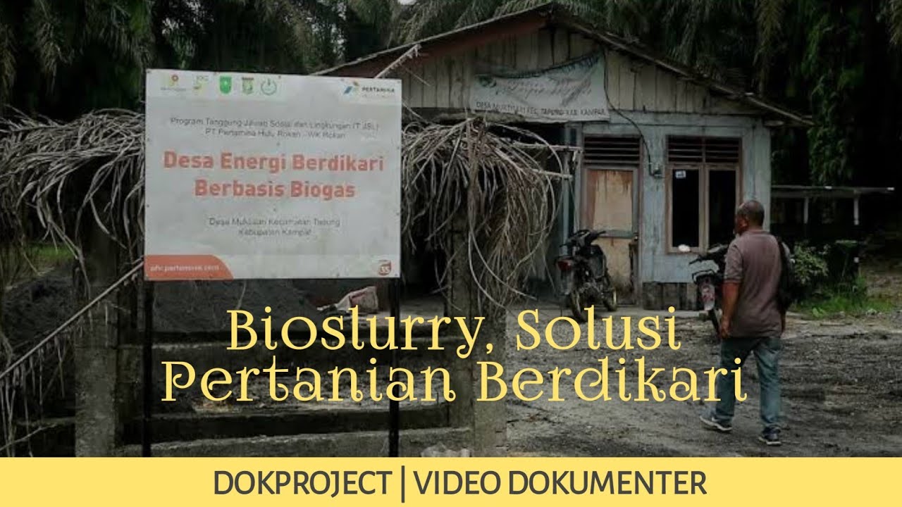 Apa Itu Bio Slurry dan Bagaimana Cara Mengolah dan Mengaplikasikannya pada Tanaman?